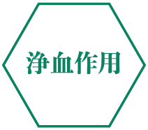 浄血作用