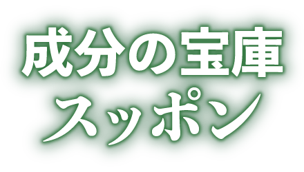 成分の宝庫スッポン